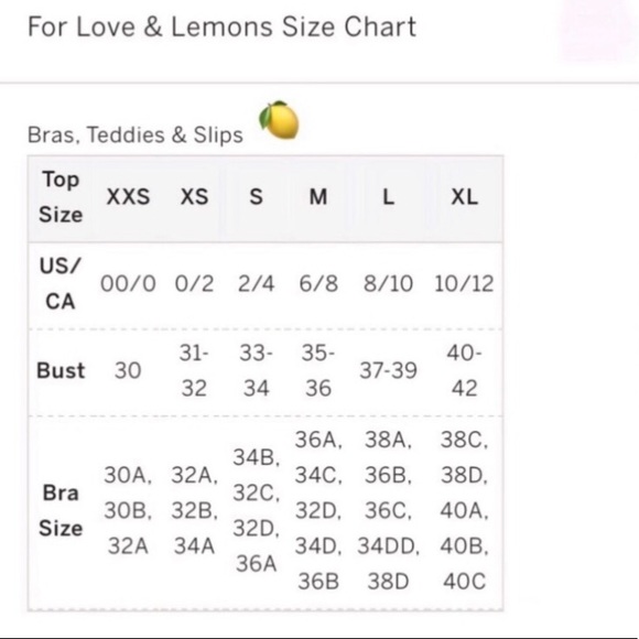 Last 1 !!! For Love & Lemons Festival Rose Slip Dress Size Large - Picture 13 of 14